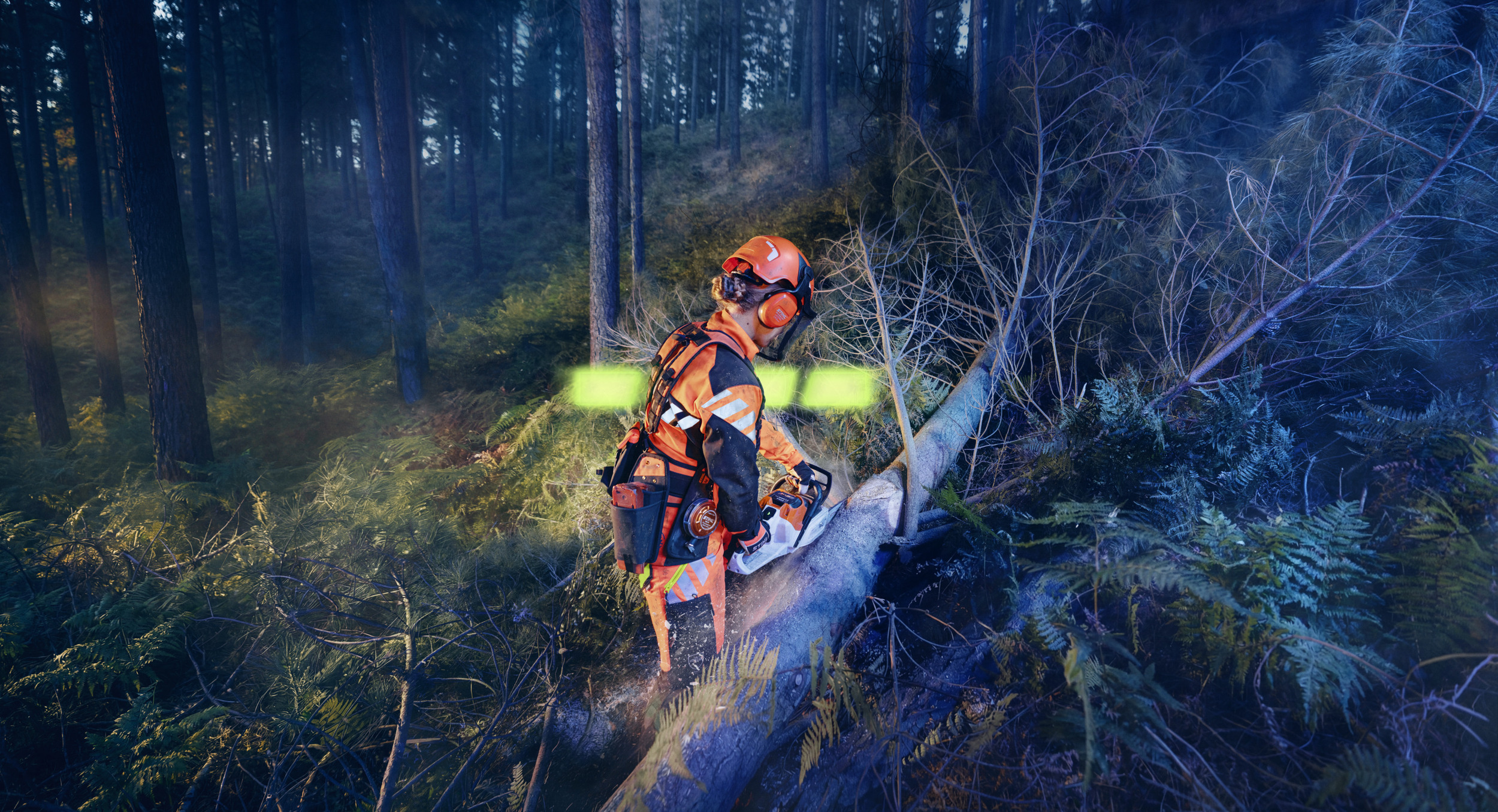 STIHL ALLPRO beim Einsatz in der MSA 260 bei der Forstarbeit