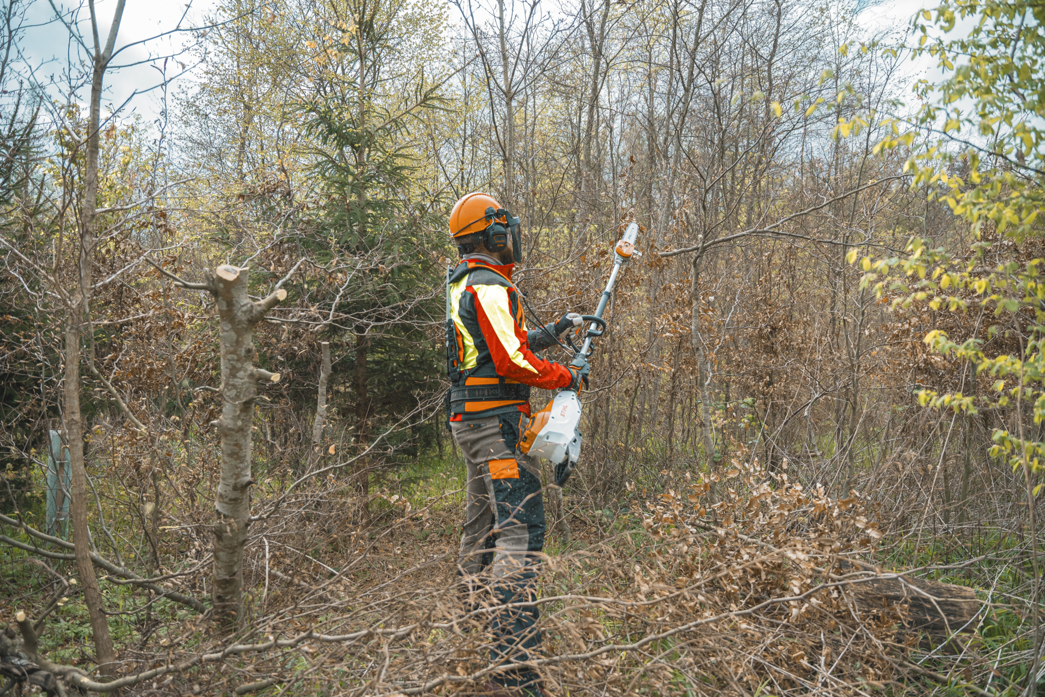 Eine Person in Rückenansicht schneidet mit dem Hochentaster STIHL HTA 150 einen Ast ab
