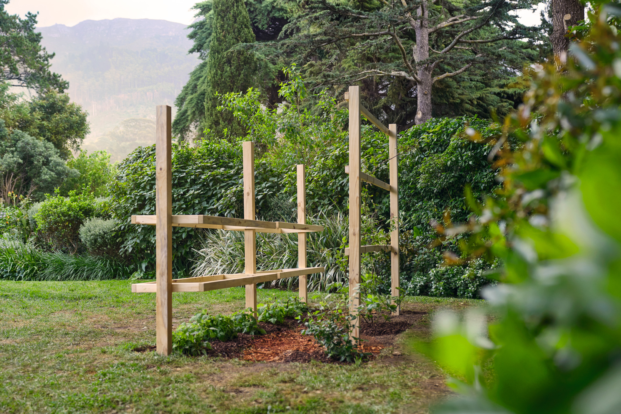 Beerenbeet mit Himbeeren, Brombeeren und Heidelbeeren