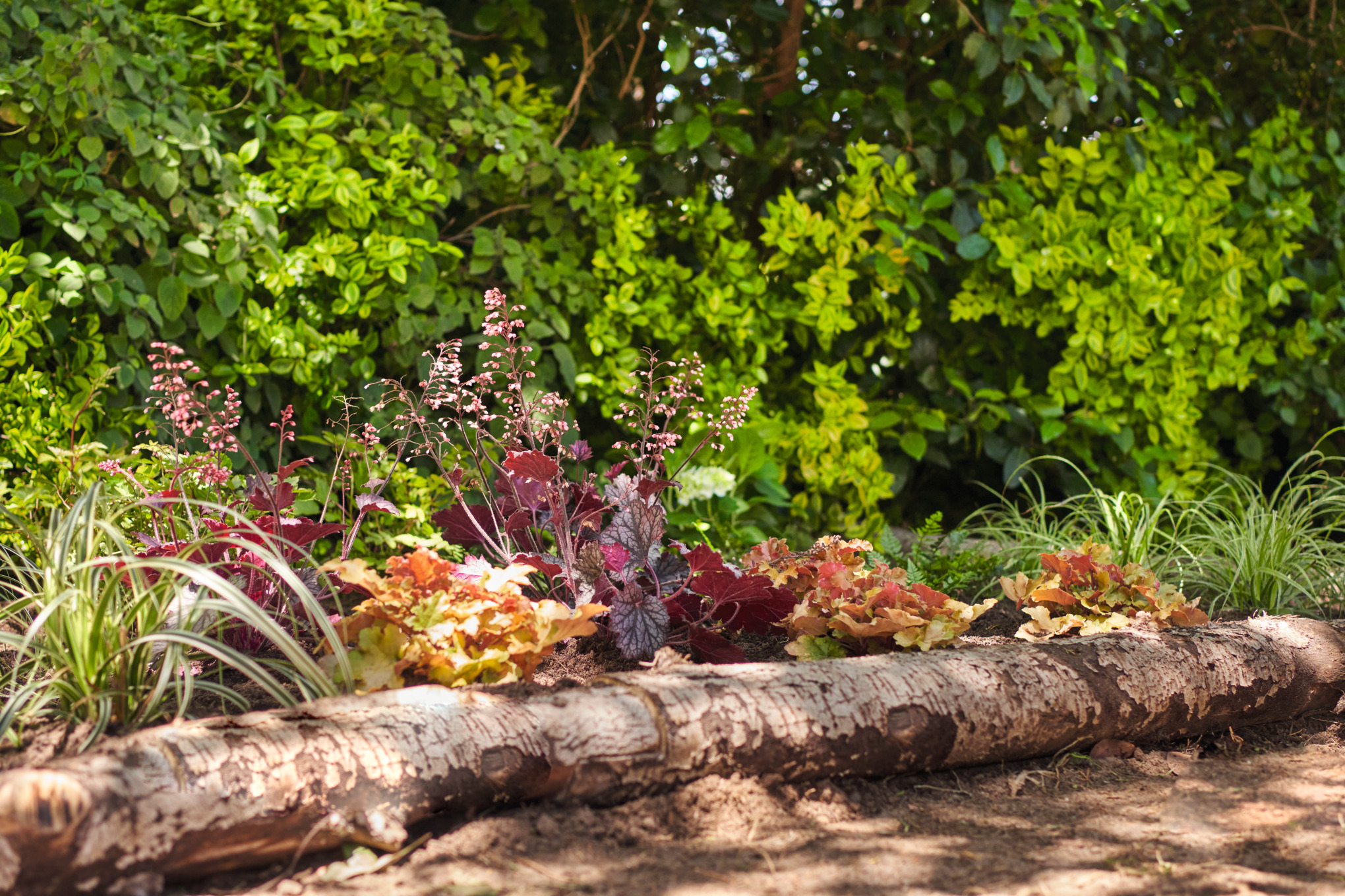 Beet im Schattengarten mit einer Beeteinfassung aus Baumstämmen