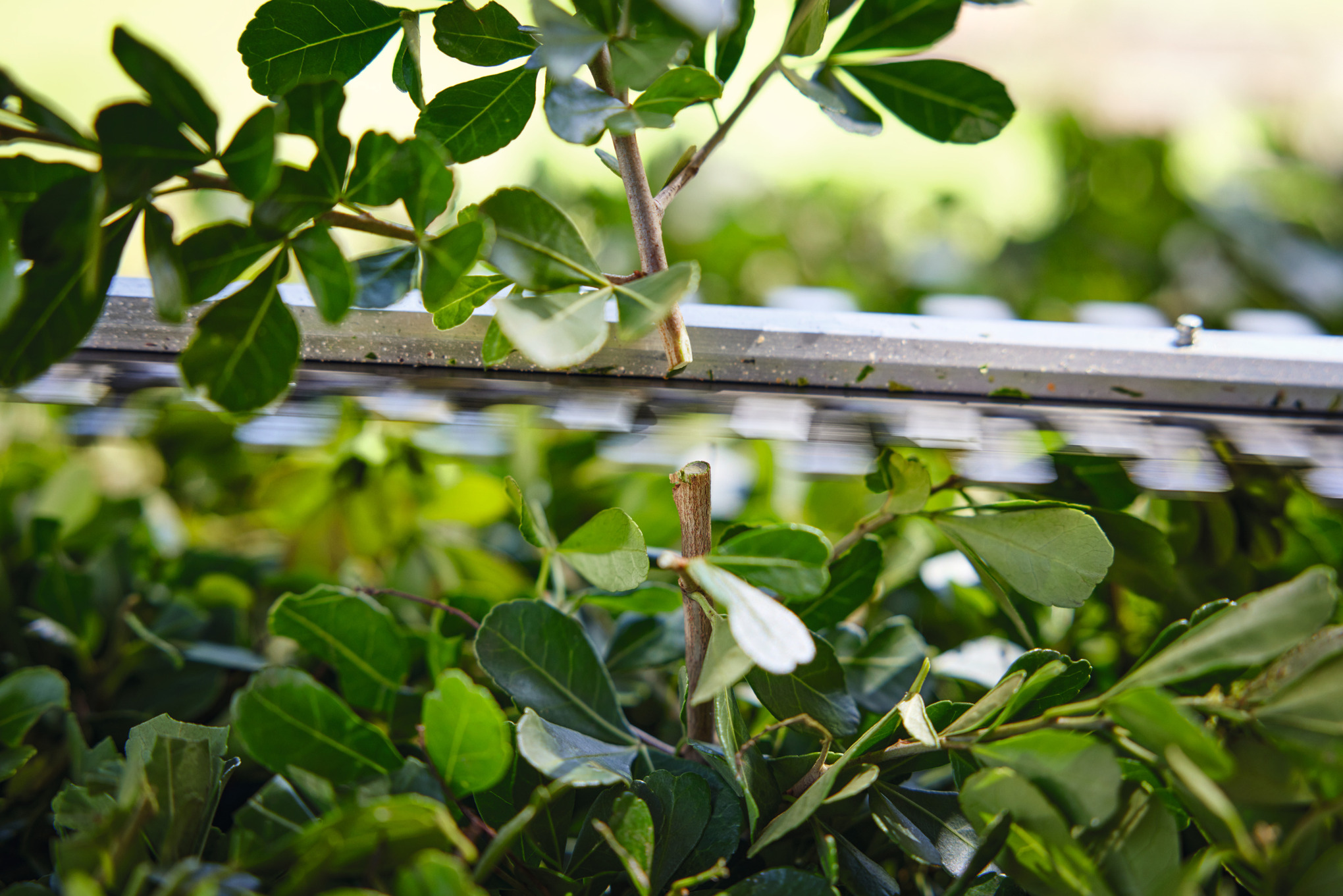 HSA 40 mit 2x Akku AS 2 und Ladegerät AL 1