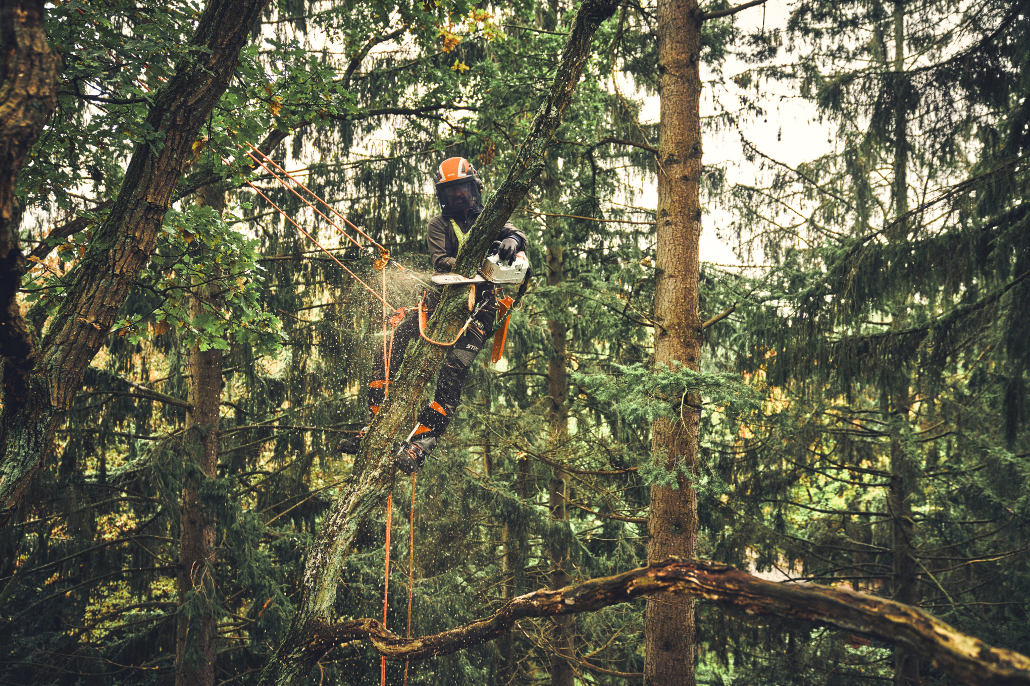 MSA 220 T ohne Akku und Ladegerät