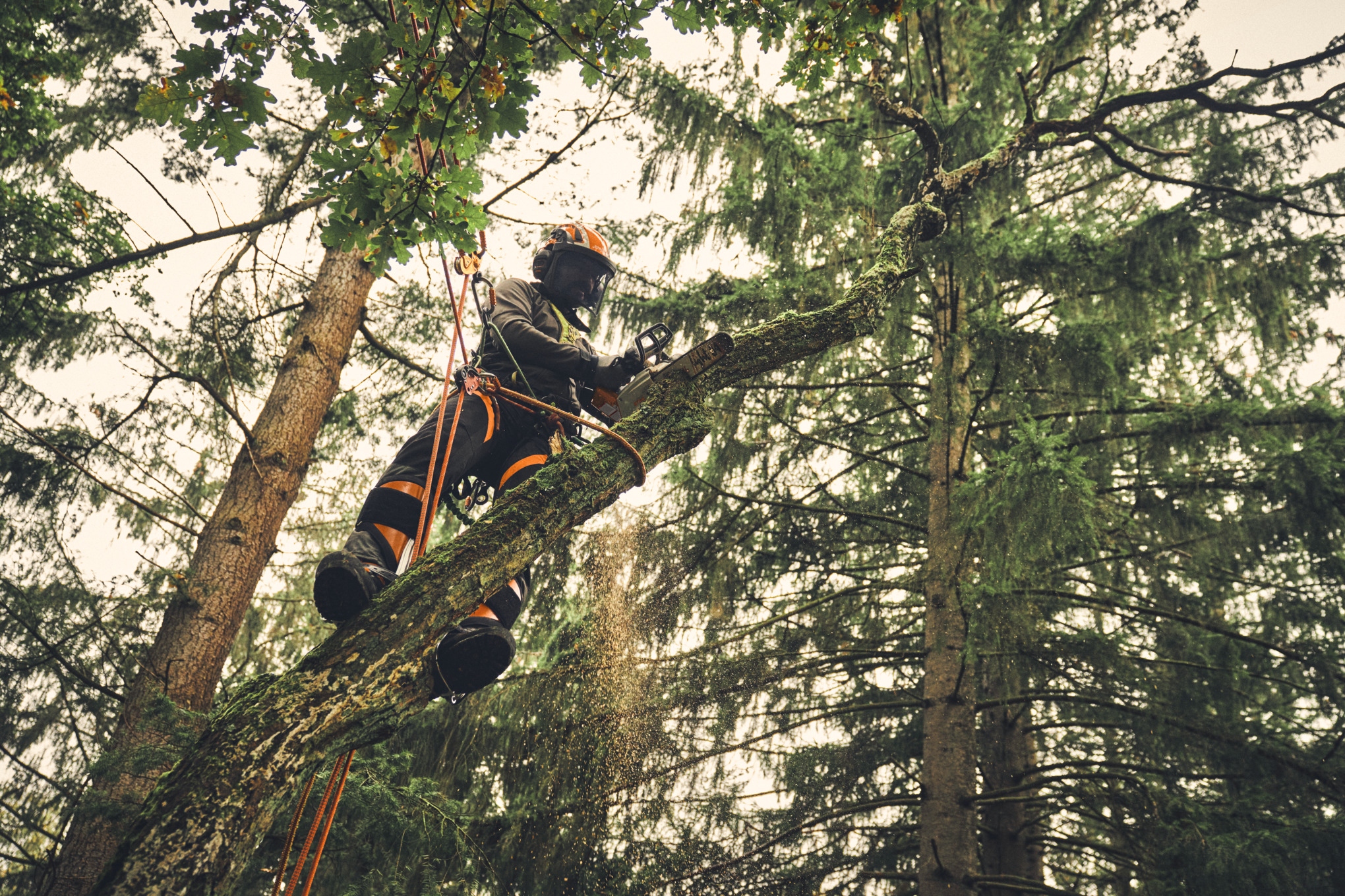 MSA 220 T ohne Akku und Ladegerät