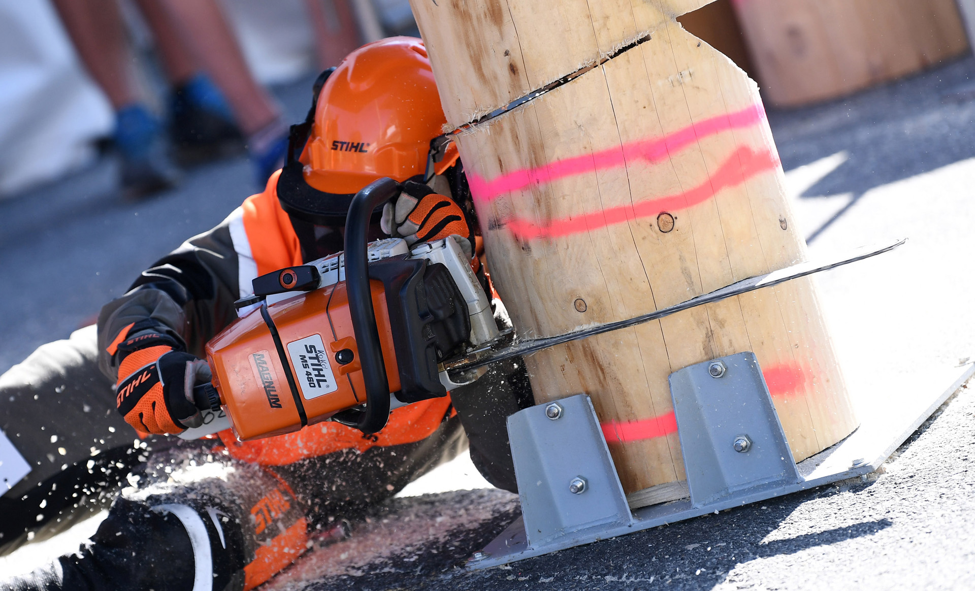 Mann mit STIHL Benzin-Kettensäge MS 460 und persönlicher Schutzausrüstung von STIHL sägt einen Baumstamm