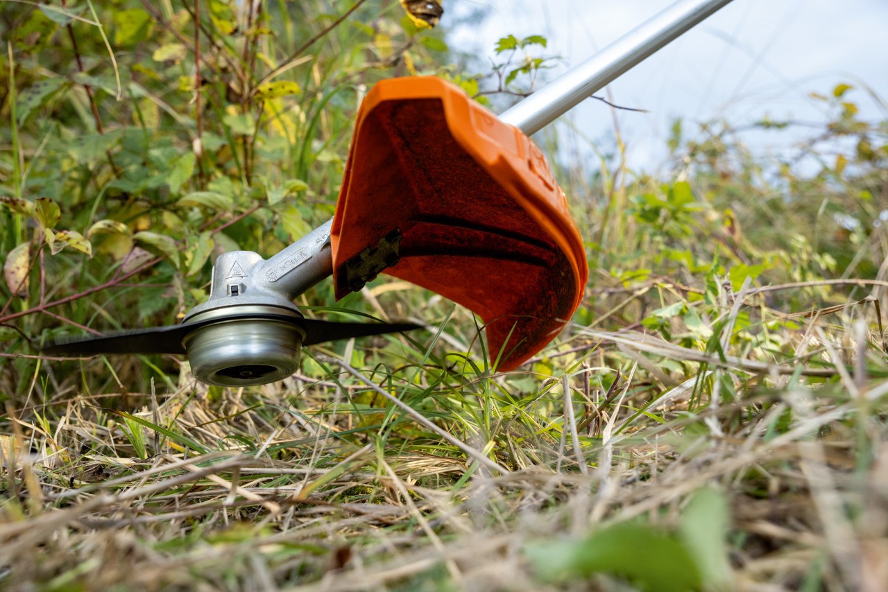Rasen wird mit STIHL Akku-Freischneider FSA 135 gemäht