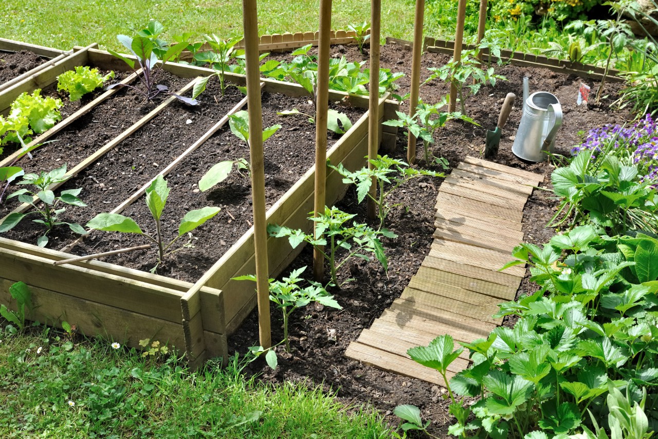 124609_garden-path_HQ_P_2024-05_0002.jpg